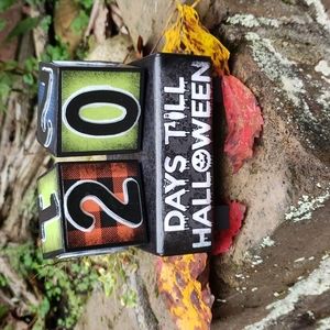 New Hand Crafted Custom Halloween Countdown Blocks Set